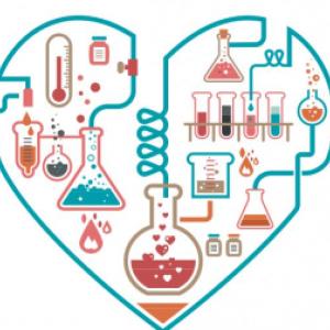 Amor como química