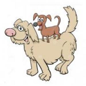 Imagen de portada del videojuego educativo: ANIMALS INFANTIL, de la temática Idiomas