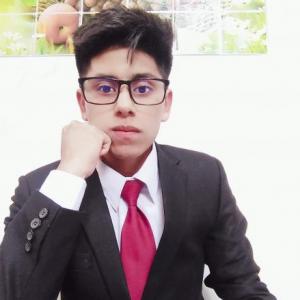 Alex Anderson Vargas Quispe