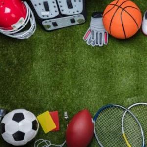 Portada del juego Sports – Idiomas