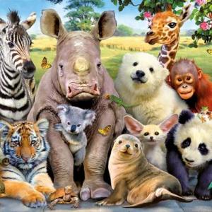 Mundo animal