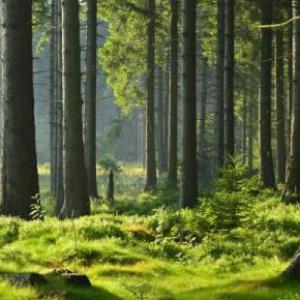 Recursos Naturales 