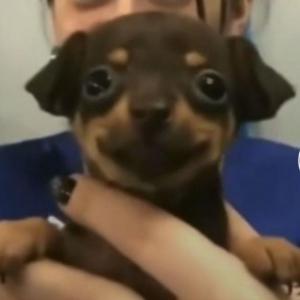 <3