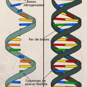TRIVIAMOL