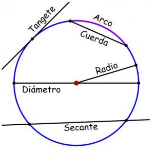 partes de la circunferencia