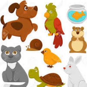 SONIDO DE LOS ANIMALES