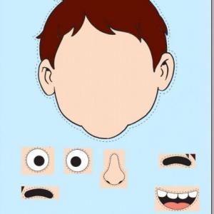 PARTES DEL ROSTRO