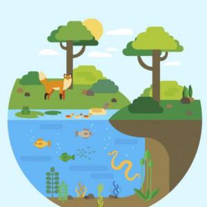 la productividad en los ecosistemas