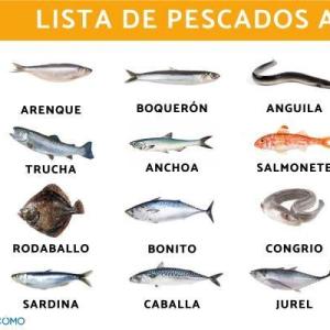 Cuáles son los pescados azules