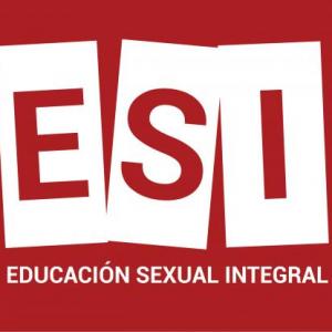 ESI - CONCEPTOS BÁSICOS.
