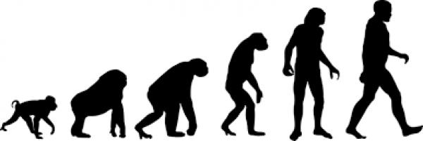 Evolución del hombre prehistórico