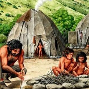 preguntas de estudios sociales