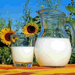 Circuito productivo de la leche