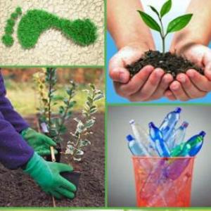 CUIDEMOS EL MEDIO AMBIENTE