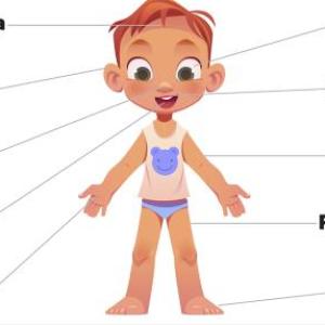 aprende a usar tu cuerpo