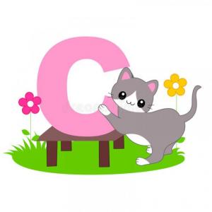 Letter c memory