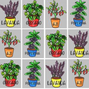 Plantas de uso gastronómico.