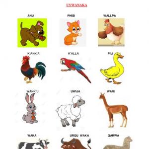 LOS ANAMALES - UYWANAKA
