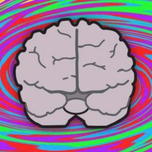 Unit 4 Indirect Q and Brain