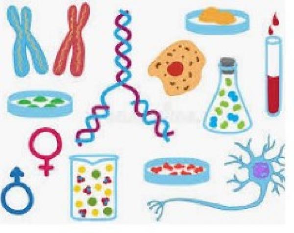 Nutrición y niveles tróficos!