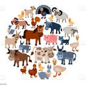 LOS ANIMALES