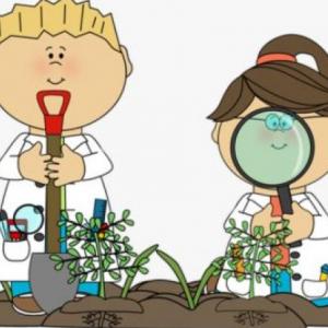 Natural Science