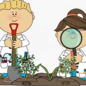 Natural Science
