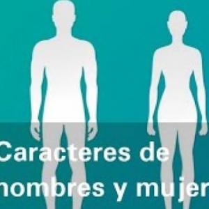 Los caracteres sexuales de mujeres y hombres