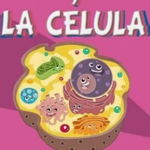 Imagen de portada del videojuego educativo: La célula, de la temática Ciencias