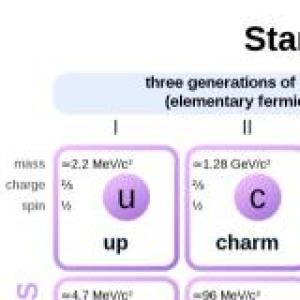 PARTICULAS ELEMENTALES