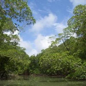 dinámica sobre el clima grupo 4