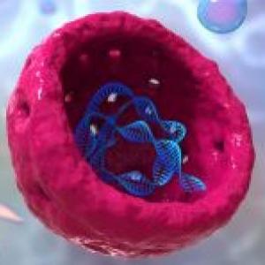 Cell Level One