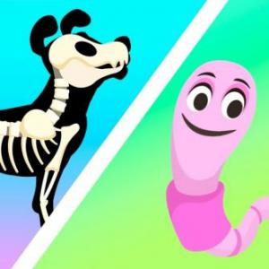 Trivia de vertebrados e invertebrados