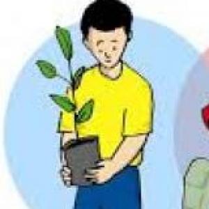 Conceptos básicos  gestión de riesgo
