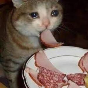 conociendo los animales