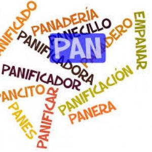 Averigua la Familia de palabras y su palabra primitiva.