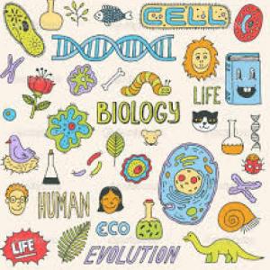 Didáctica de la Biología 
