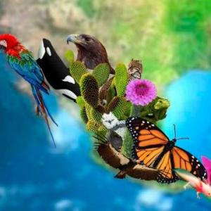 La biodiversidad mexicana