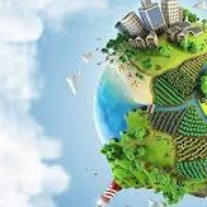 Liga del Saber Medio Ambiente