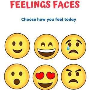 Feelings
