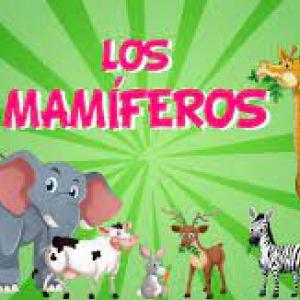 Los mamíferos