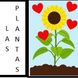 Imagen de portada del videojuego educativo: Crecimiento de las Plantas , de la temática Ciencias