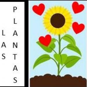 Imagen de portada del videojuego educativo: Las Plantas y sus partes , de la temática Medio ambiente