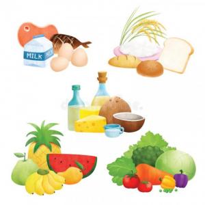 FOOD GROUPS