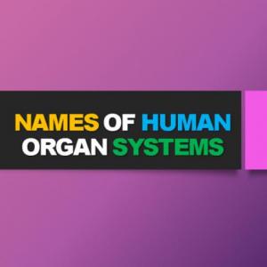 Digestive, respiratory and skeletal system