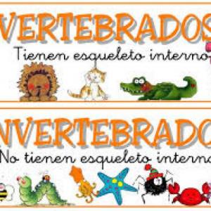 A qué grupo de animales pertenece??
