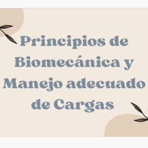 Portada del juego Biomecánica y Manejo de Cargas – Seguridad