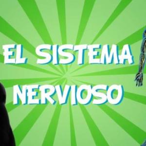 Imagen de portada del videojuego educativo: El sistema nervioso , de la temática Ciencias
