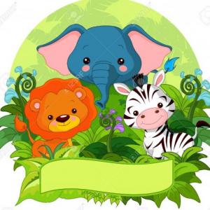 Jungle animals 
