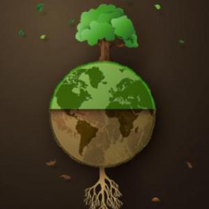 Cápsulas ADN Cooperativo en tu entorno - preservación del medio ambiente.